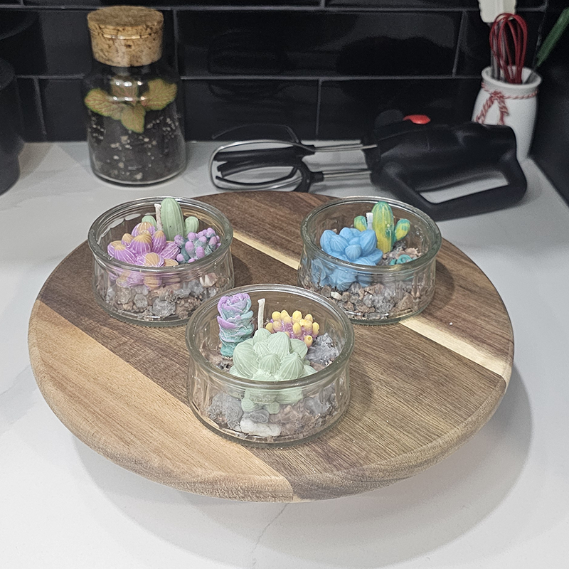 Mini-terrarium
