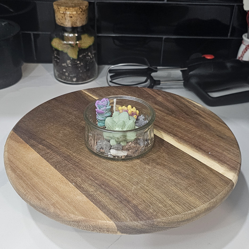 Mini-terrarium