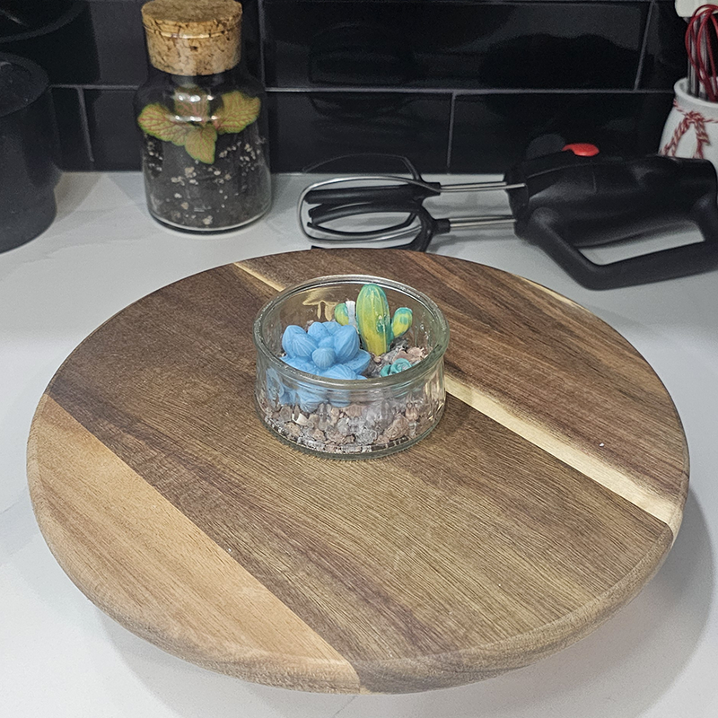 Mini-terrarium