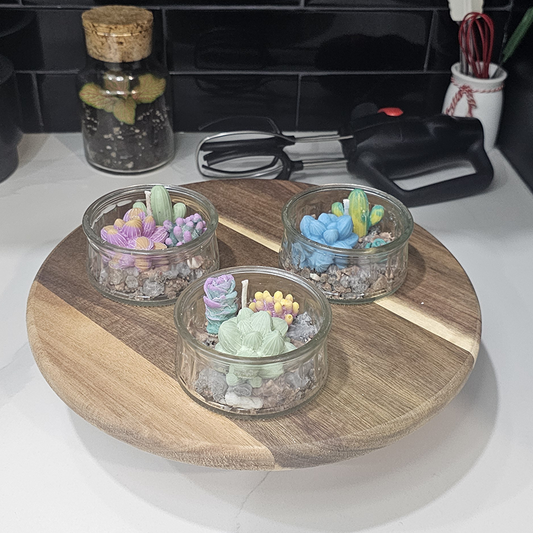 Mini Terrarium